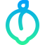 Peach icon 64x64
