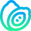 Papaya icon 64x64