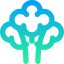 Broccoli icon 64x64