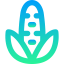 Corn icon 64x64