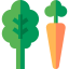 Vegetables icon 64x64