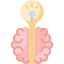 Brain icon 64x64