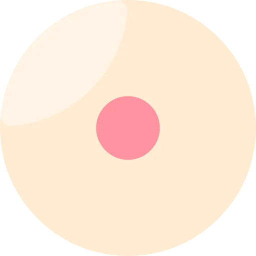 Disc icon