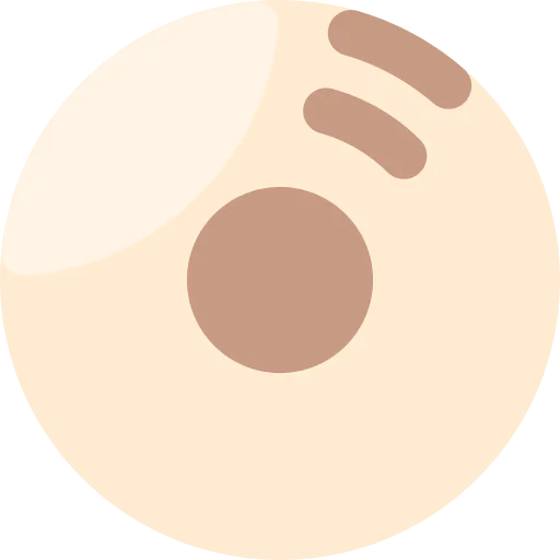 Disc icon