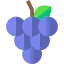 Grape icon 64x64