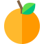 Orange icon 64x64