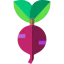 Turnip Ikona 64x64