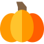 Pumpkin icon 64x64