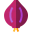 Onion icon 64x64