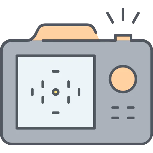 Display icon