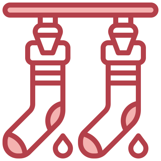 Socks icon