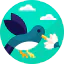 Hummingbird Ikona 64x64