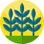 Plant Ikona 64x64