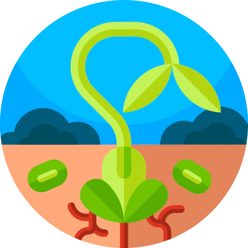 Sprouts icon
