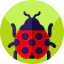 Ladybug Ikona 64x64
