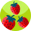 Strawberry Ikona 64x64