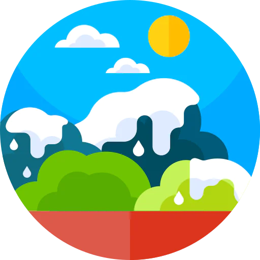 Ice icon