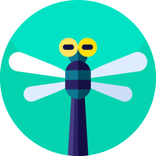 Dragonfly icon