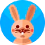 Rabbit Ikona 64x64