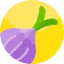 Onion Ikona 64x64