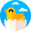 Chick Ikona 64x64