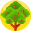 Fruit tree アイコン 64x64