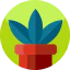Plant Ikona 64x64