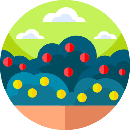 Raspberry icon
