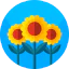 Sunflower Ikona 64x64