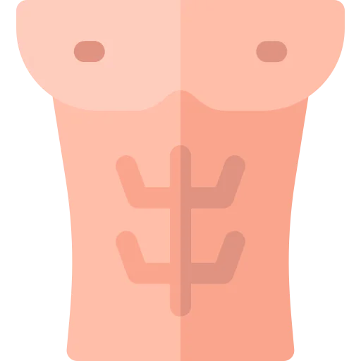 Abs icon