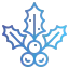 Holly icon 64x64