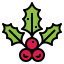 Holly icon 64x64