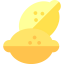 Lemon icon 64x64