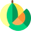 Cantaloupe icon 64x64