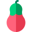 Aubergine icon 64x64