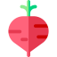 Beet icon 64x64