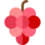 Grapes icon 64x64