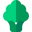 Broccoli icon 64x64