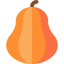 Pumpkin icon 64x64