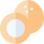 Coconut icon 64x64