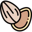 Almond icon 64x64