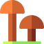 Mushrooms icon 64x64