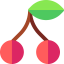 Cherry icon 64x64