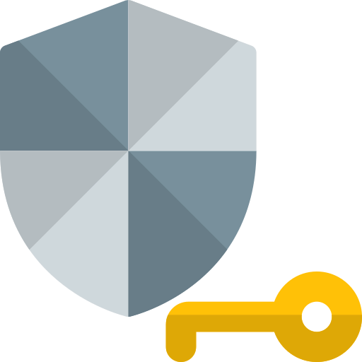 Key icon