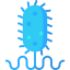 Bacteria icon 64x64