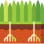 Grass icon 64x64