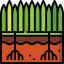Grass icon 64x64