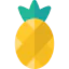 Pineapple icon 64x64