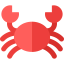 Crab icon 64x64