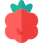 Raspberry 상 64x64